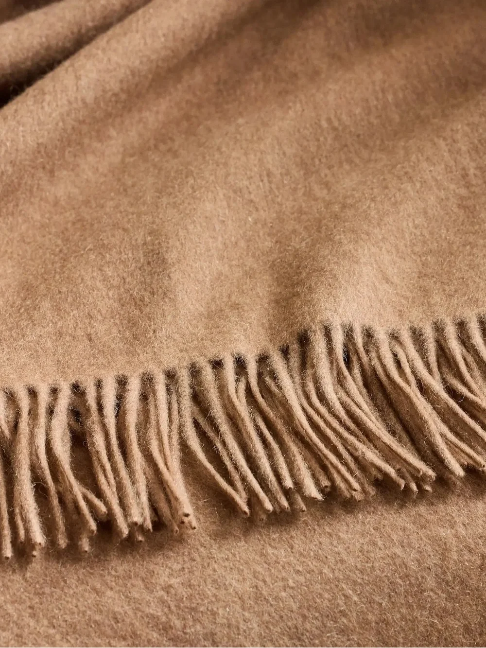 Quince sumptuous cashmere